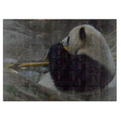 パンダくまのガラスまな板 カッティングボード (正面)