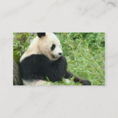 パンダくまの名刺 名刺 (裏面)