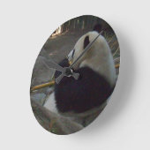 パンダくまの柱時計 ラウンド壁時計 (傾斜)