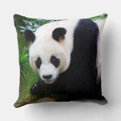パンダくまの装飾用クッション クッション (裏面)