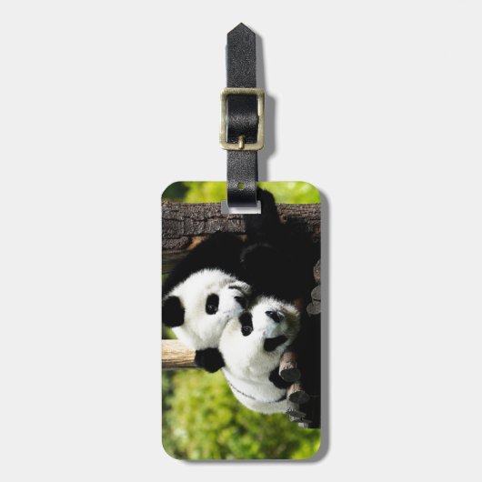 パンダくま ラゲッジタグ (正面縦)