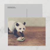 パンダと寿司はがき ポストカード (正面/裏面)