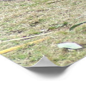 パンダと竹 ポスター (角)