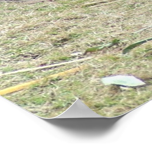 パンダと竹 ポスター (角)