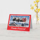パンダのクマのクリスマス カード (黄色い花)