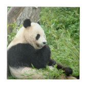 パンダのタイル タイル (正面)