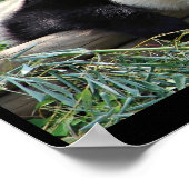 パンダのポスター ポスター (角)