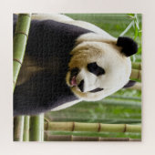 パンダのポートレート ジグソーパズル (横)