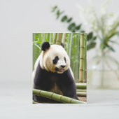 パンダのポートレート ポストカード (スタンド正面)