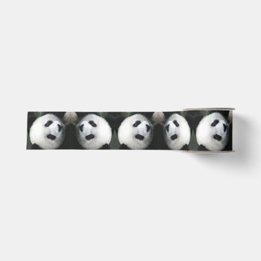 パンダのリボン グログランリボン (正面)