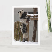 パンダの上昇 カード (正面)