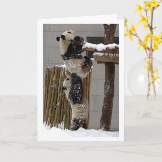 パンダの上昇 カード (黄色い花)