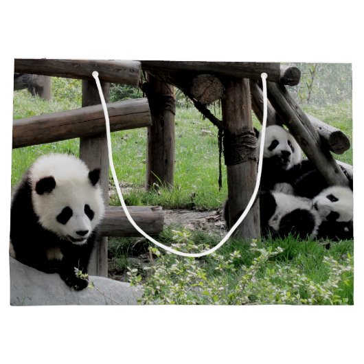 パンダの写真 ラージペーパーバッグ (裏面)