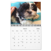 パンダの毎日の線量 カレンダー (3月 2026)