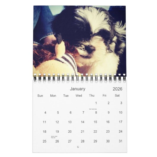 パンダの毎日の線量 カレンダー (1月 2026)