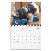 パンダの毎日の線量 カレンダー (2月 2026)