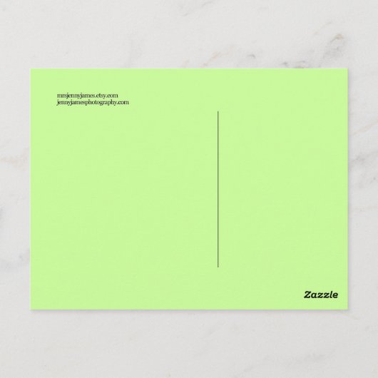 パンダはがき ポストカード (裏面)