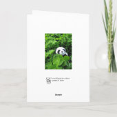 パンダもアイルランド人だ シーズンカード (裏面)