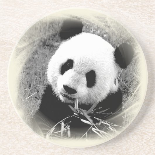 パンダアイズ コースター (正面)