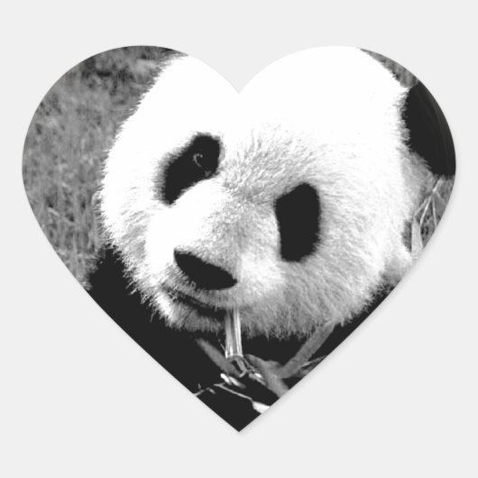 パンダアイズ ハートシール (正面)