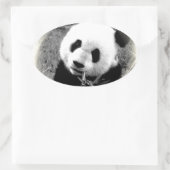 パンダアイズ 楕円形シール (バッグ)