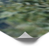 パンダインツリーポスター3 ポスター (角)