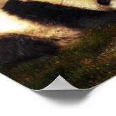 パンダエフェム ポスター (角)