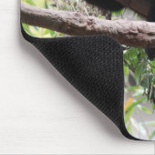 パンダカブス マウスパッド (コーナー)