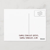 パンダサンディエゴ動物園はがき ポストカード (裏面)