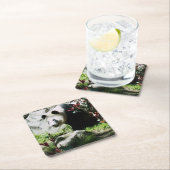 パンダスマイルコースター スクエアペーパーコースター (インサイチュ)