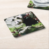 パンダスマイルコースター スクエアペーパーコースター (アングル)