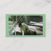 パンダスマイル名刺 名刺 (裏面)