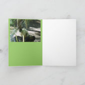 パンダスマイル カード (内部)