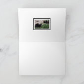 パンダドリームカ空白のード カード (内部)