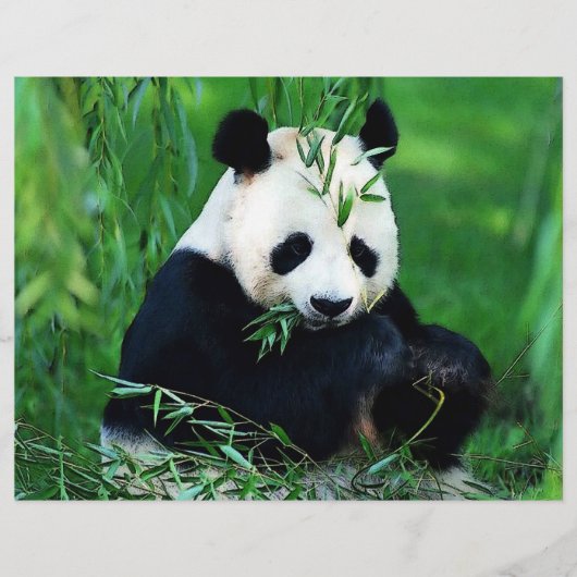 パンダフライヤー チラシ (正面)