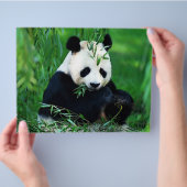 パンダフライヤー チラシ (手)