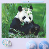 パンダフライヤー チラシ (シングル)