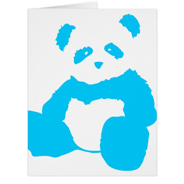 パンダプラッシュ (正面)