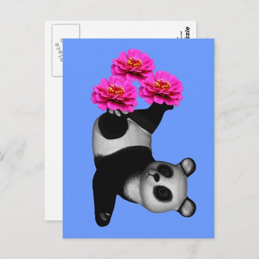 パンダベアとピンクのジニアの花のポストカード ポストカード (正面/裏面)