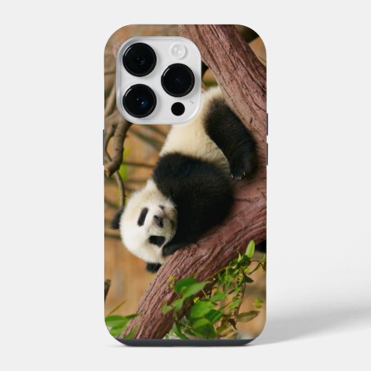 パンダベアケースメイトiPhoneケース iPhoneケース (裏面)