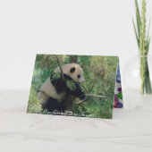パンダベアハグ カード (裏面)