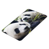 パンダベアハグ マグネット (左側)