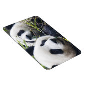 パンダベアハグ マグネット (右側)