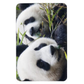 パンダベアハグ マグネット (縦)