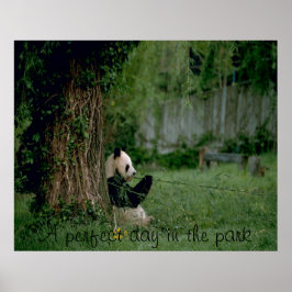 パンダベアポスタープリント ポスター