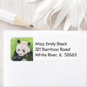 パンダベア住所 シール (インサイチュ)