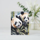 パンダベア勉強B – 水彩画 シーズンカード (スタンド正面)