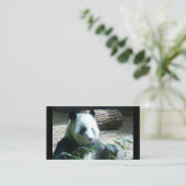 パンダベア名刺 名刺 (スタンド正面)