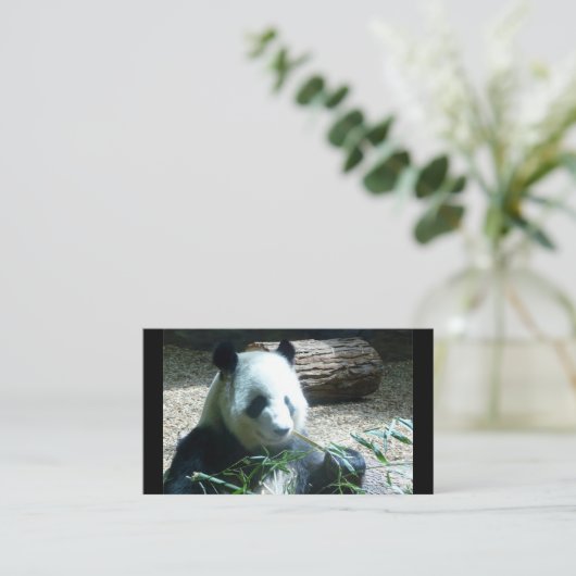パンダベア名刺 名刺 (スタンド正面)