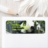 パンダベア差出人住所ラベル ラベル (インサイチュ)